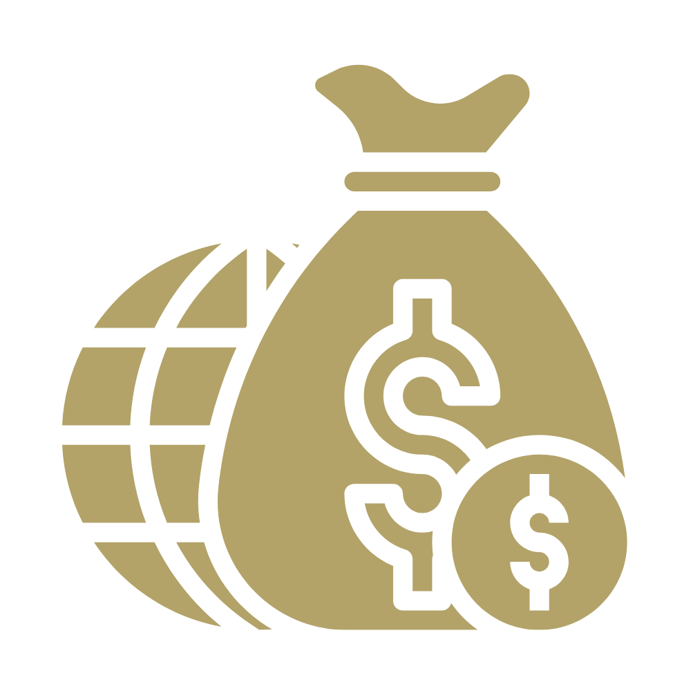 Money bag with dollar sign and coin with dollar sign in front of world symbol.