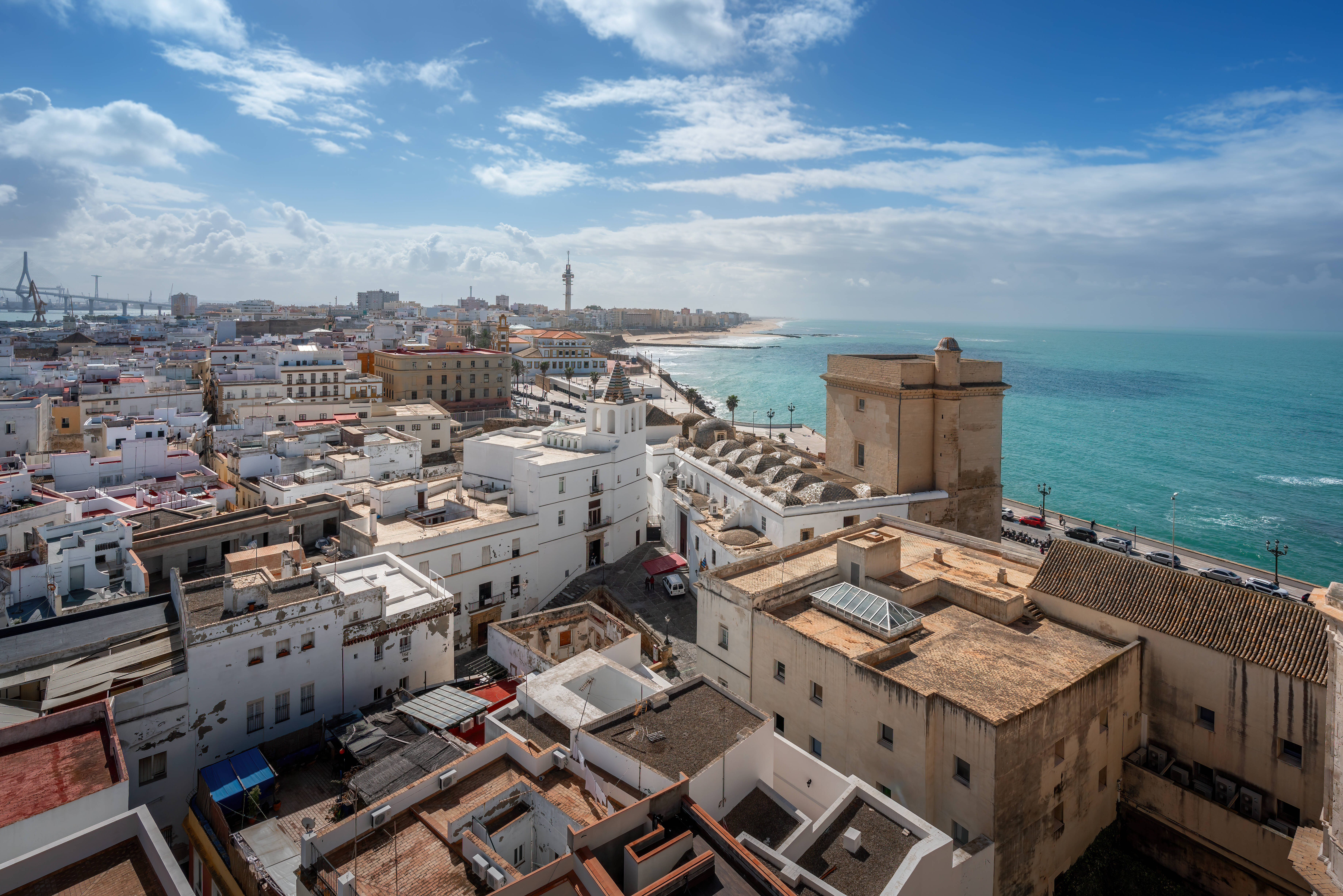 Aerial view with Church of the Holy Cross (Cadiz Old Cathedral) - Cadiz, Andalusia, Spain